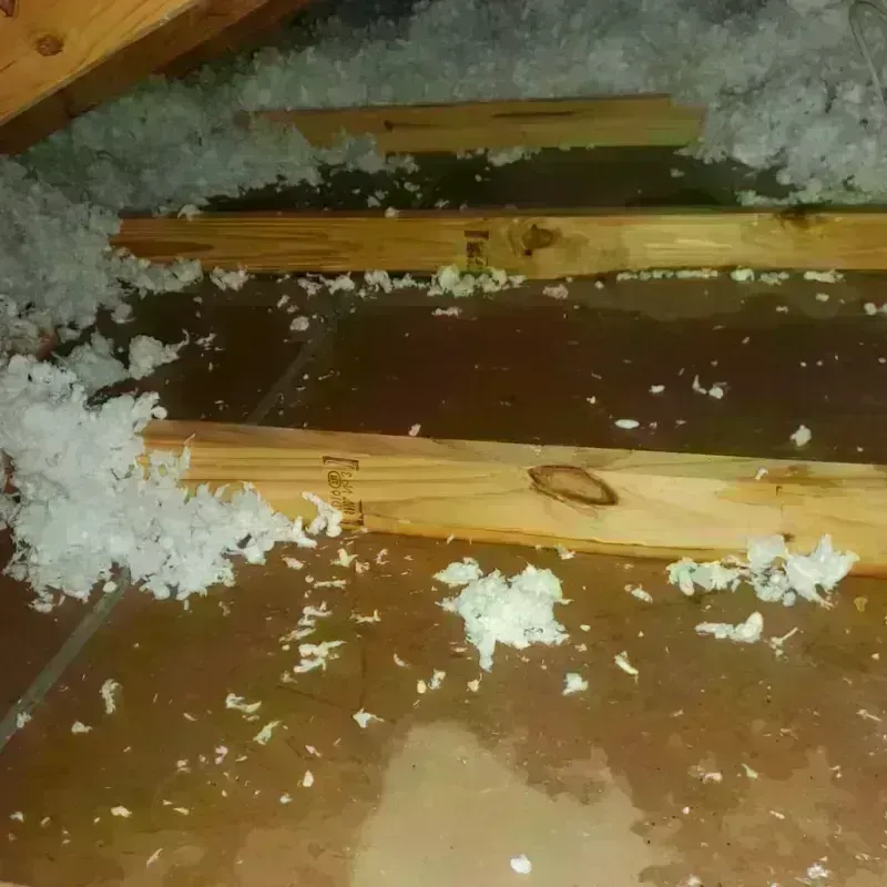 Attic Water Damage in Winnemucca, NV